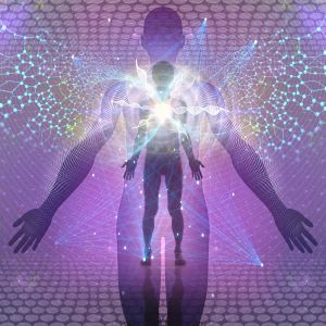 Holosomatic Experience